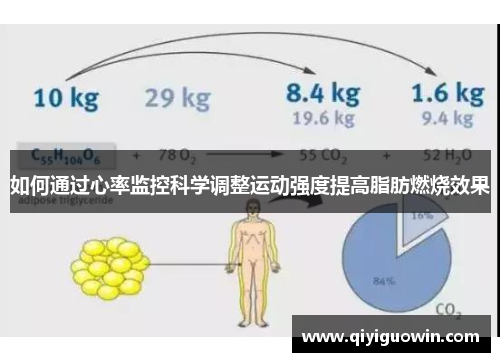 如何通过心率监控科学调整运动强度提高脂肪燃烧效果